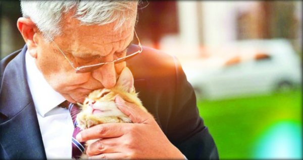 hüseyin hatemi ve kedi